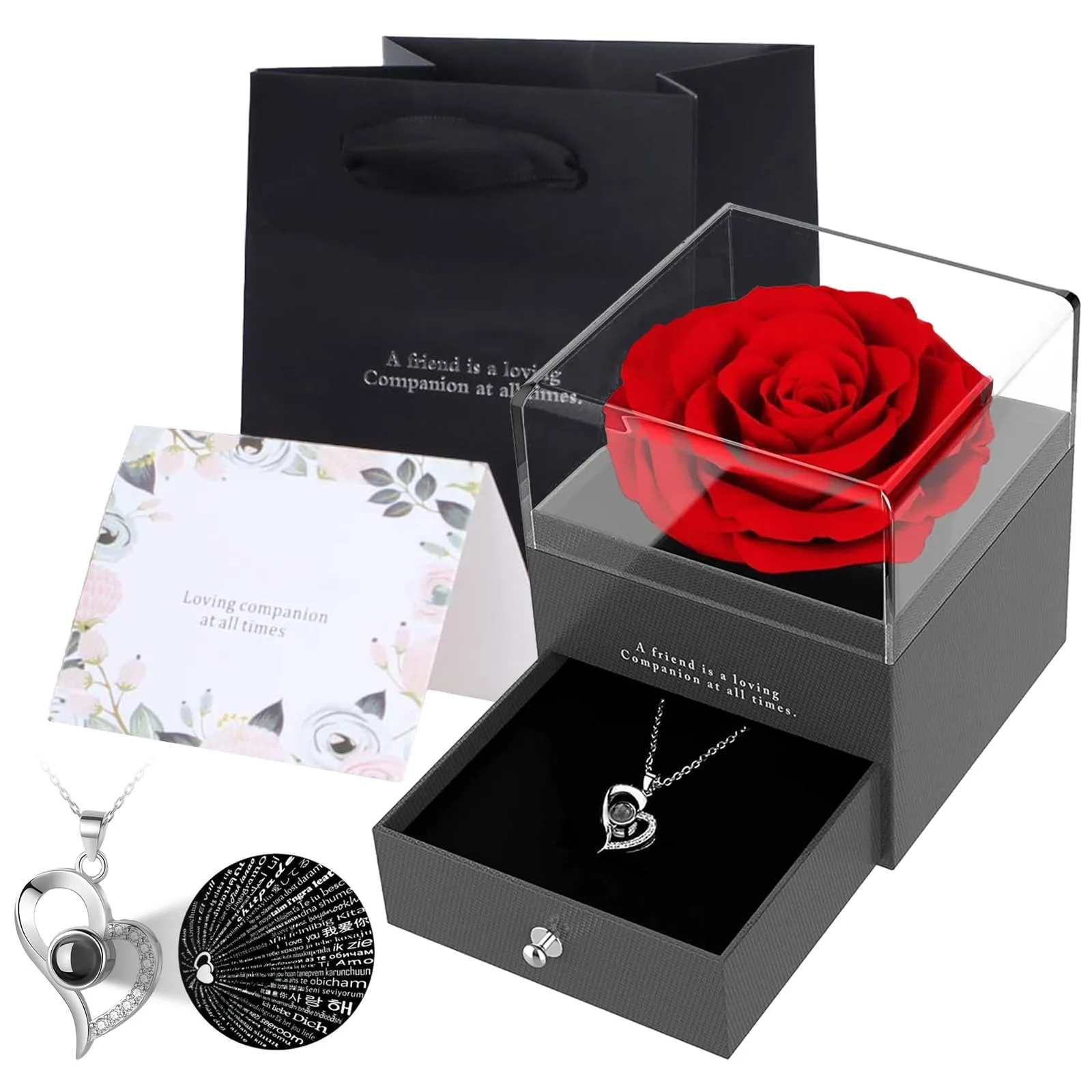 Zynxel Coffret de Roses