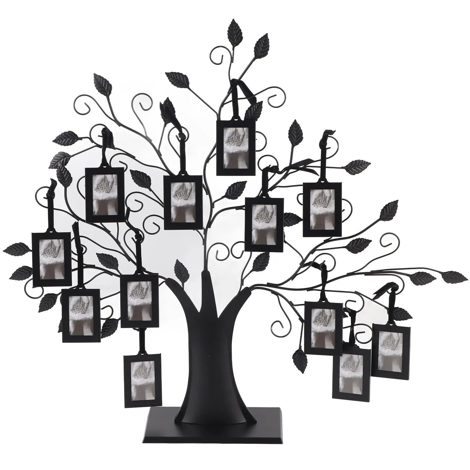 Support arbre généalogique